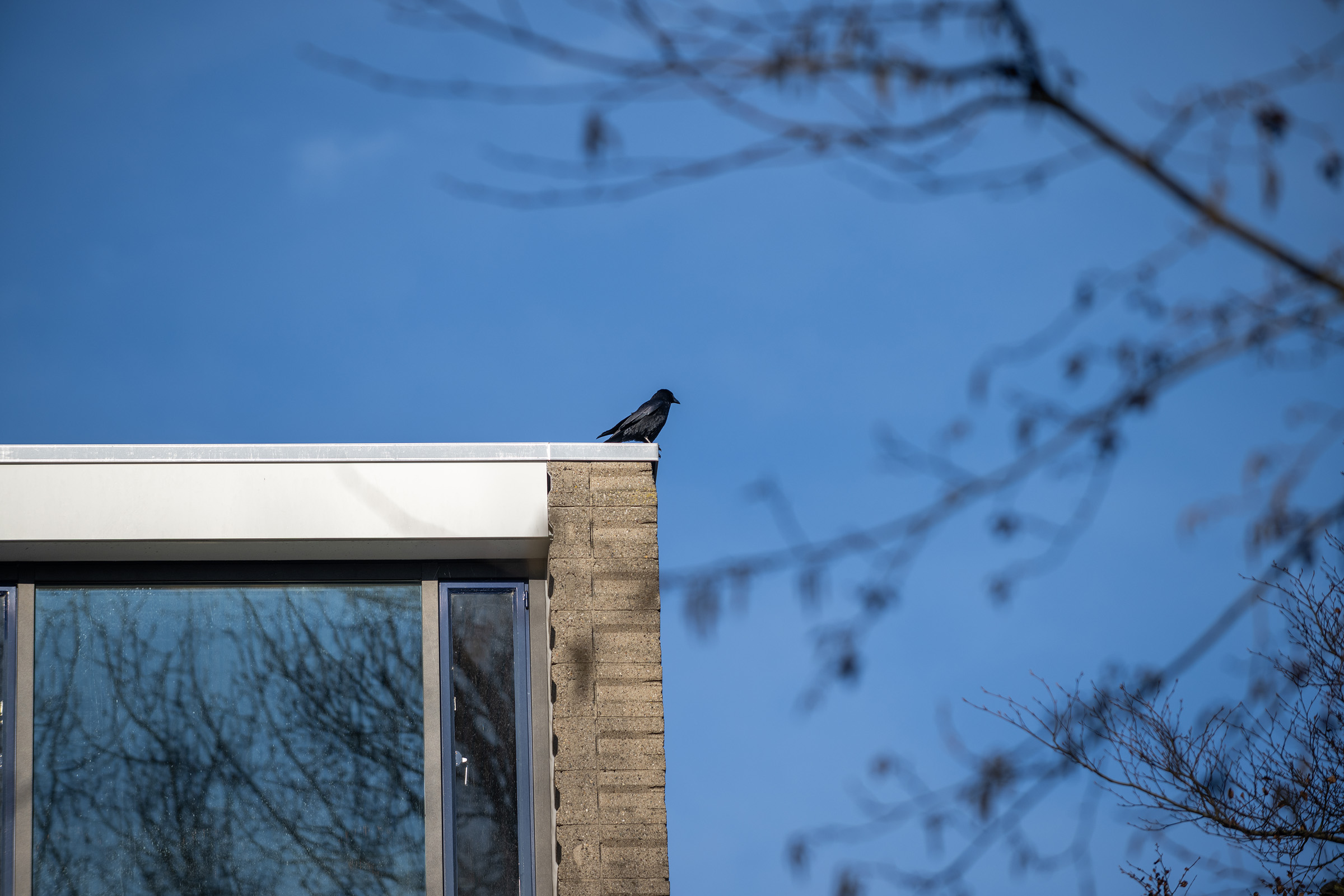 REN10-DingemanshuysUtrecht-0417