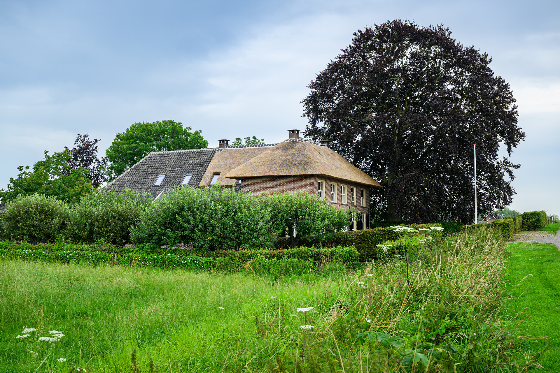 REN10-JePenraadstraat9Maurik-8118